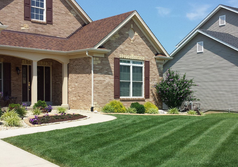 A thick striped lawn and planted bed in front of a brick house