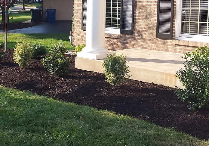 Mulch / Decorative Rock