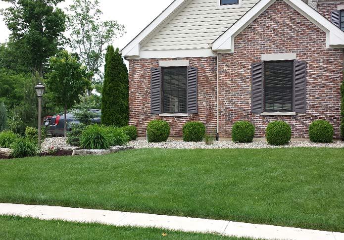 Lawn Fertilization