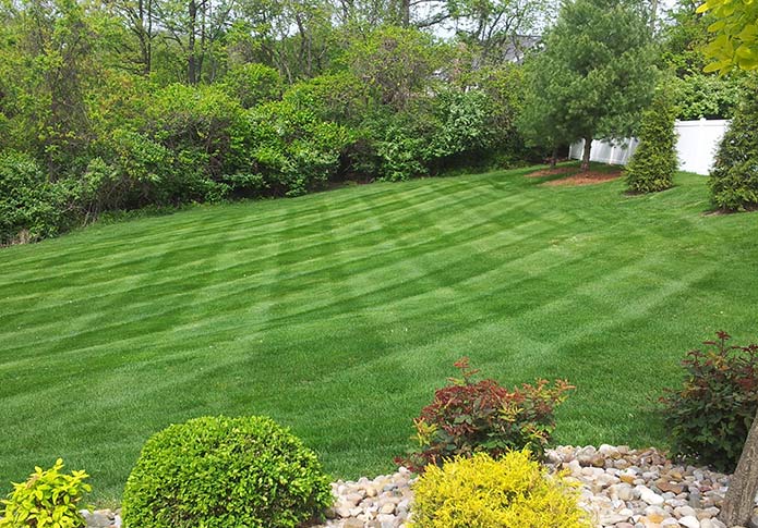 A lawn mown into clean stripes up to the curb